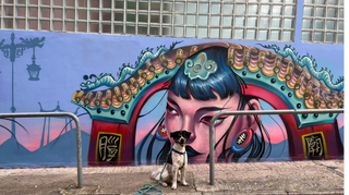 HKWALLS Festival 2024: Hong Kong's biggest street art festival is here