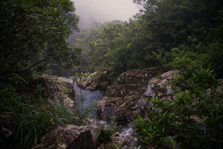 Hong Kong’s Best Waterfall Hikes